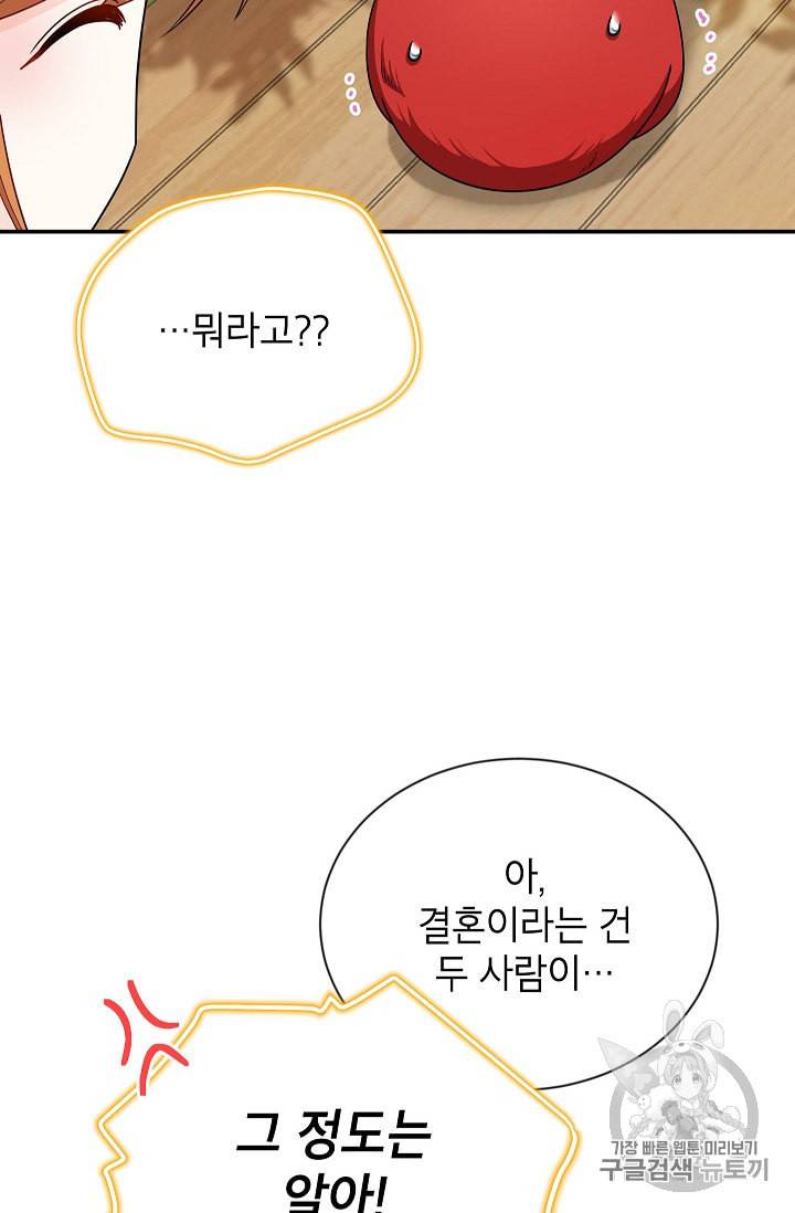 빈껍데기 공작부인 47화 4