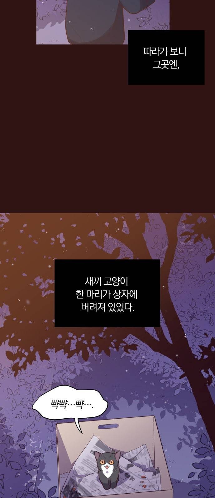 와이키키 뱀파이어 14화 10