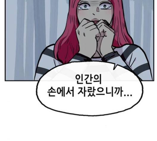 만물의 영장 61화 61