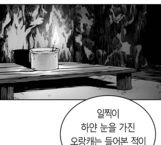 앵무살수 34화 19
