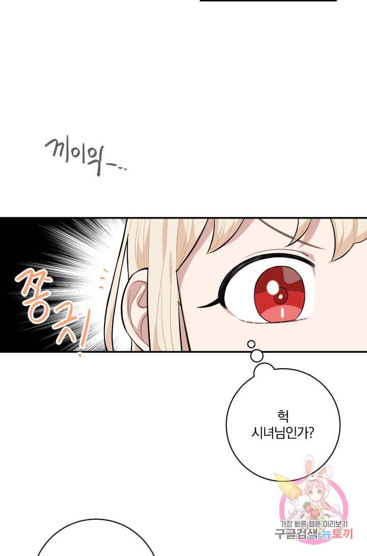 TL 소설 속 시녀가 되었습니다 31화 65