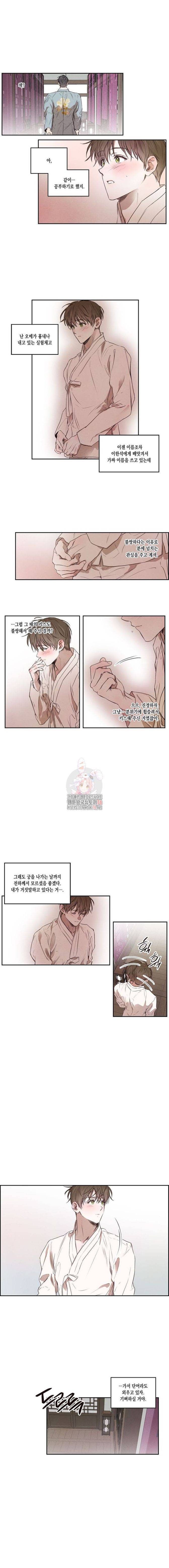 버드나무 로맨스 8화 8