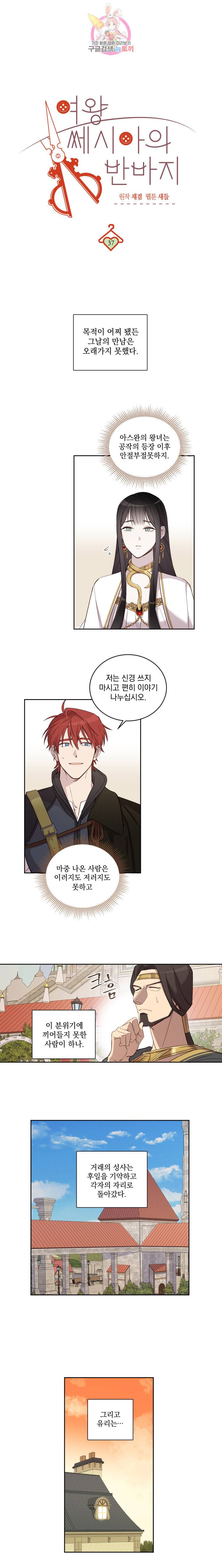 여왕 쎄시아의 반바지 37화 2