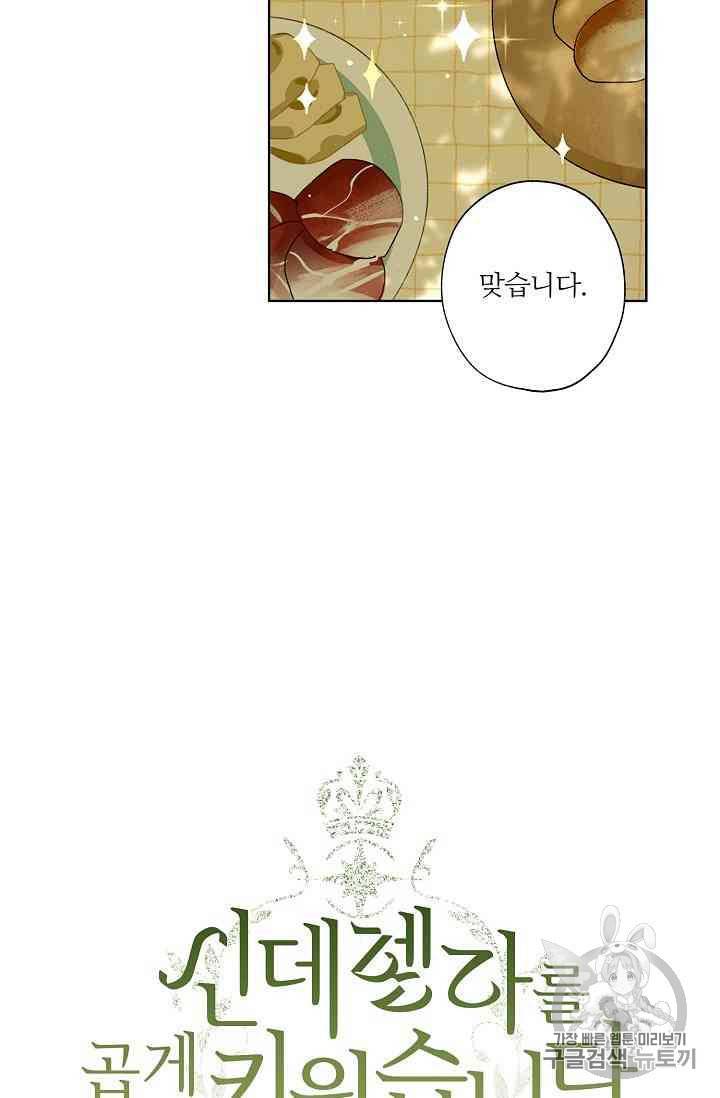 신데렐라를 곱게 키웠습니다 13화 3