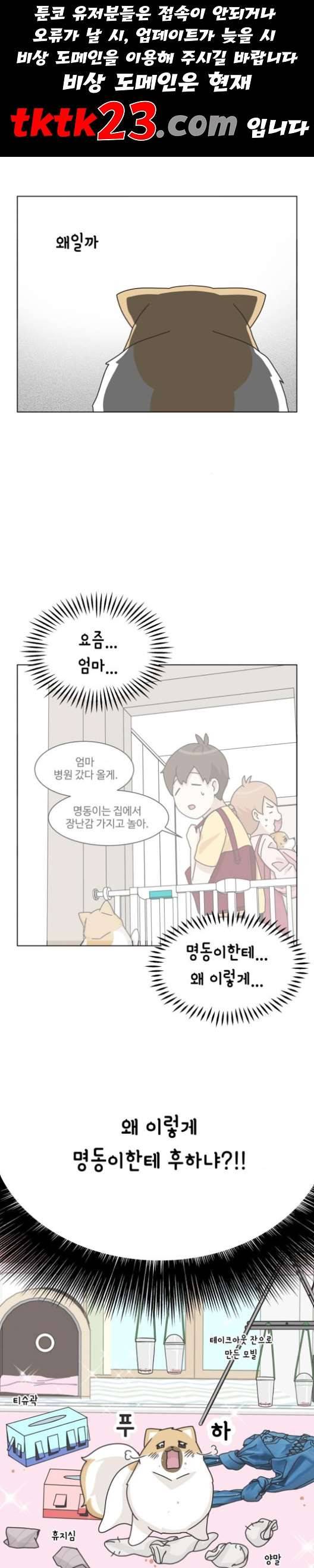 개를 낳았다 시즌2 24화 1