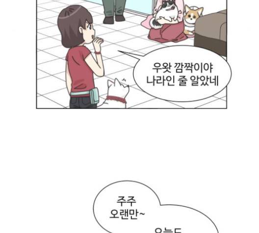 개를 낳았다 시즌2 24화 8