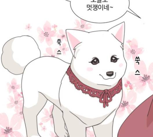 개를 낳았다 시즌2 24화 9