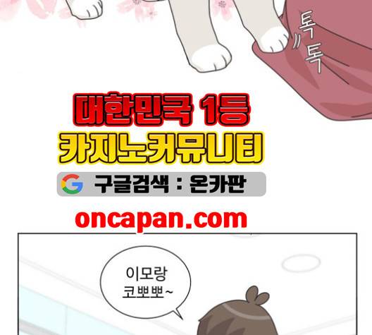 개를 낳았다 시즌2 24화 10