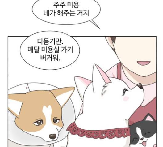 개를 낳았다 시즌2 24화 12