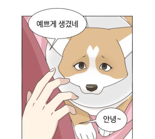 개를 낳았다 시즌2 24화 15