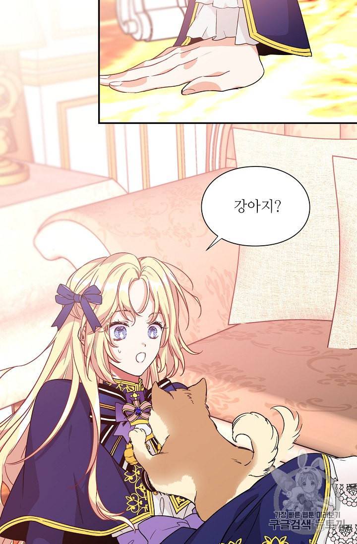 외과의사 엘리제 131화 10