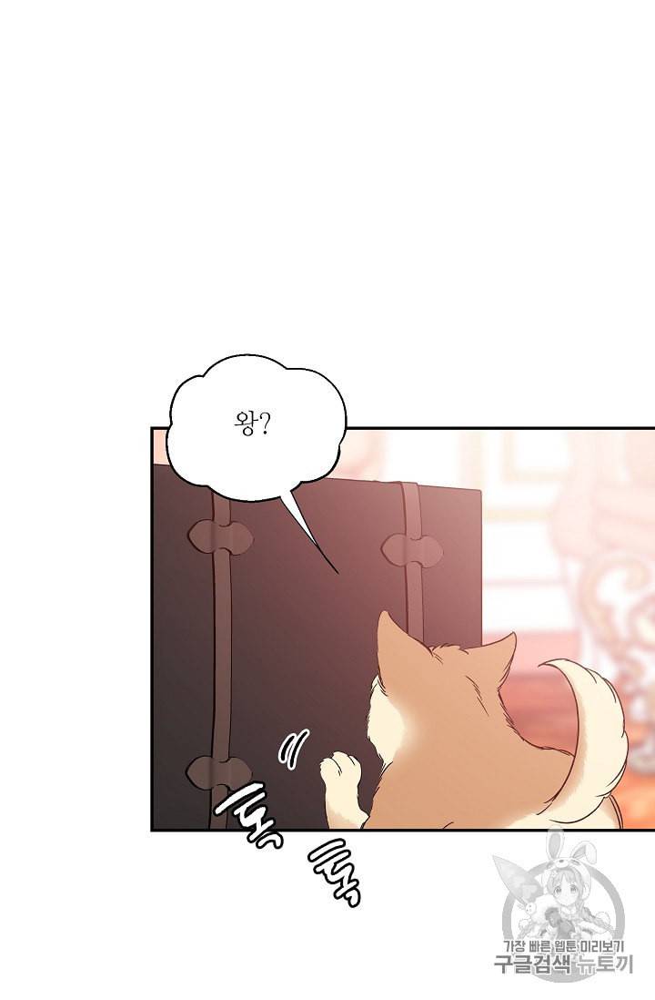 외과의사 엘리제 131화 13