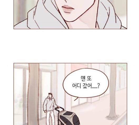 홍시는 날 좋아해! 141화 28