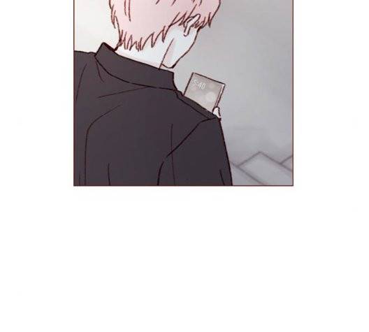 홍시는 날 좋아해! 141화 41