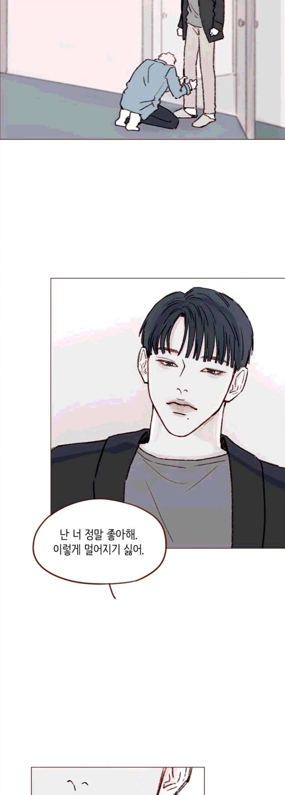 홍시는 날 좋아해 145화 3
