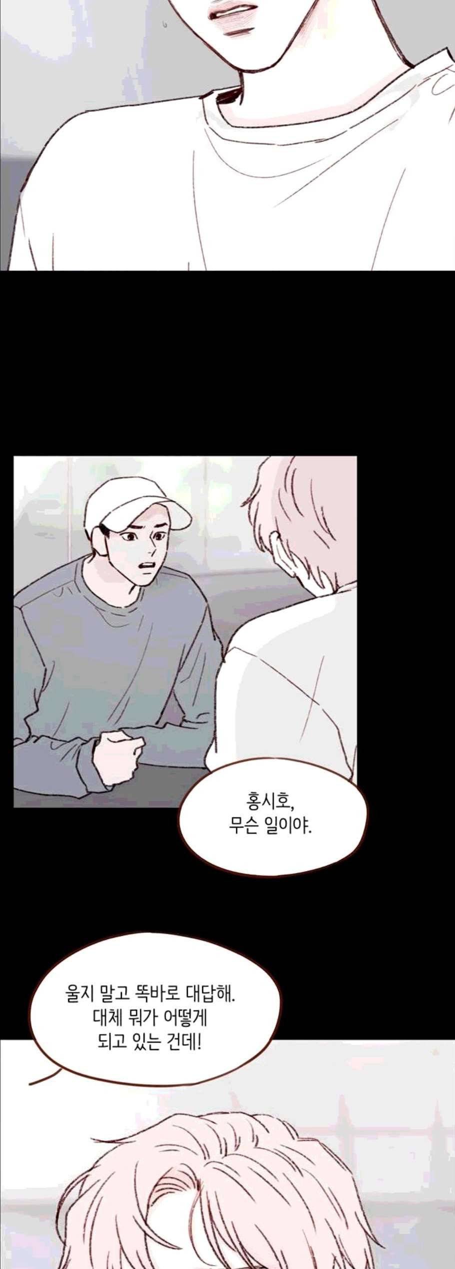 홍시는 날 좋아해! 146화 20