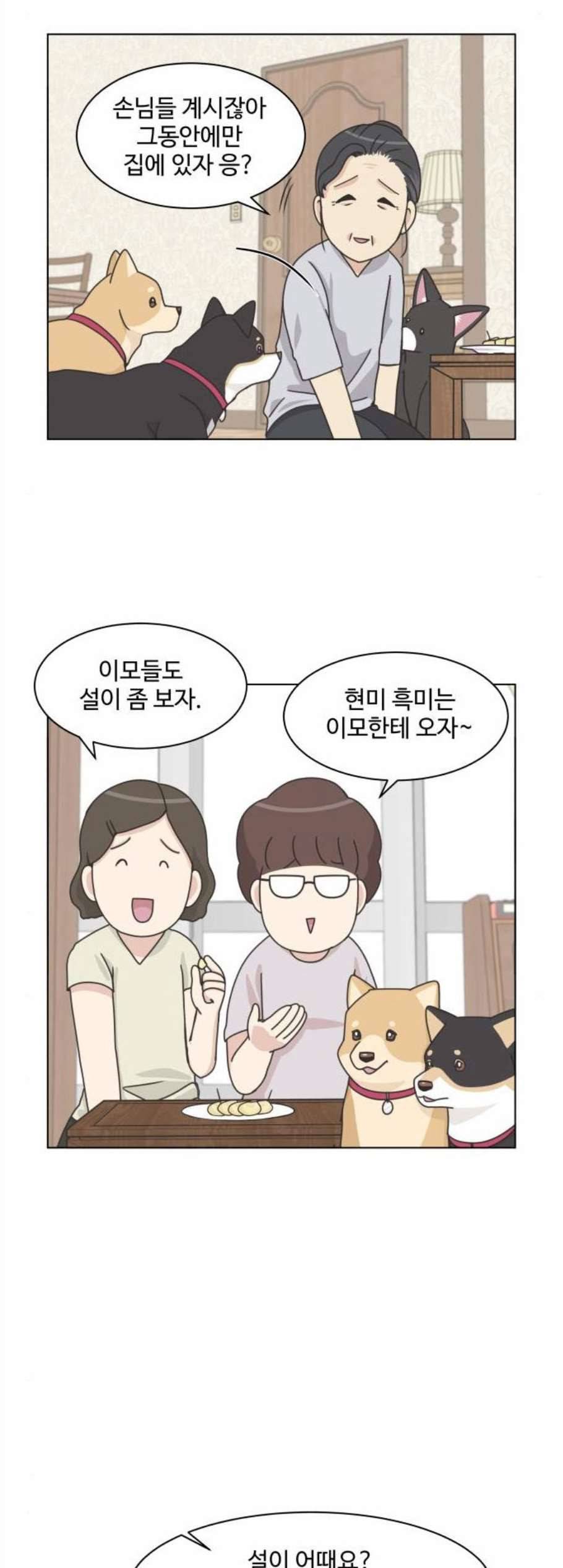 개를 낳았다 시즌2 34화 2
