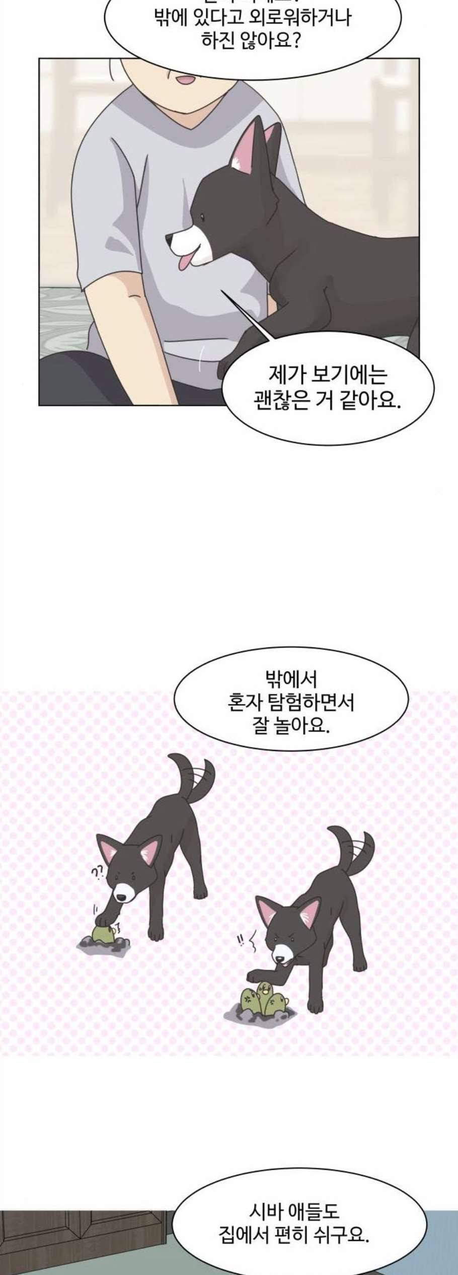 개를 낳았다 시즌2 34화 3