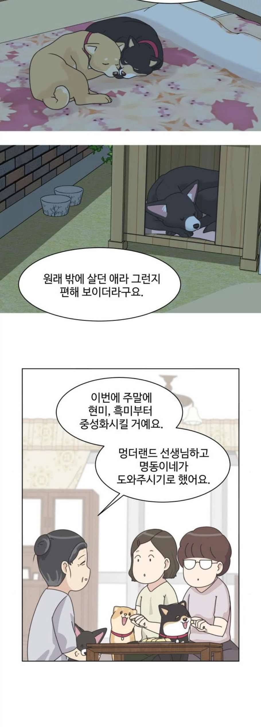 개를 낳았다 시즌2 34화 4