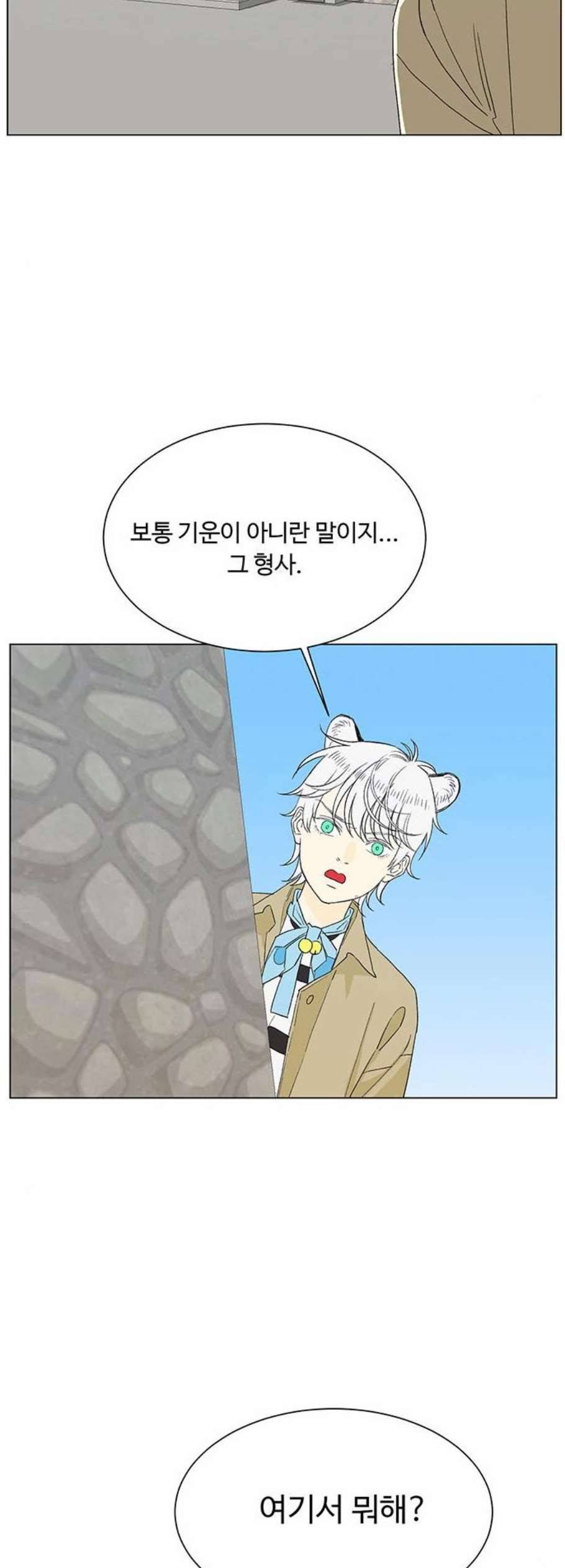 백호랑 38화 3