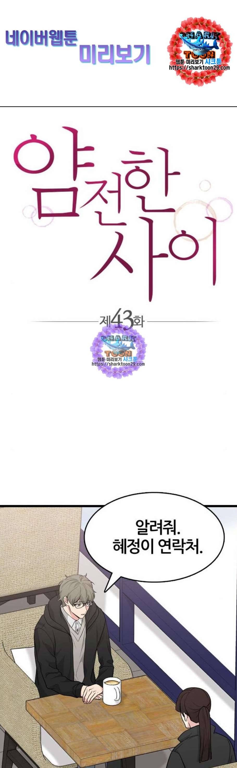 얌전한 사이 43화 1