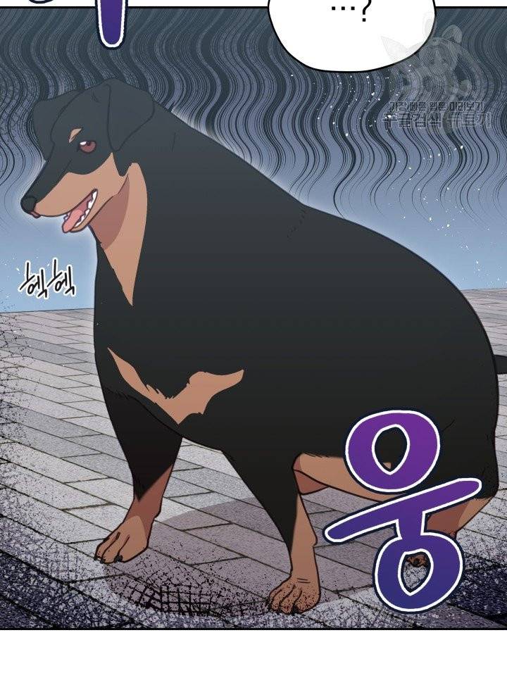 접경지역의 동물병원 32화 13