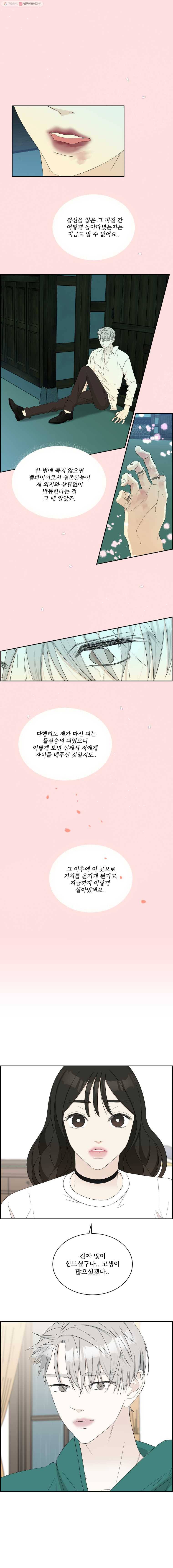 뱀파이어님의 대리식사 16화 빙수로 녹여줘 12