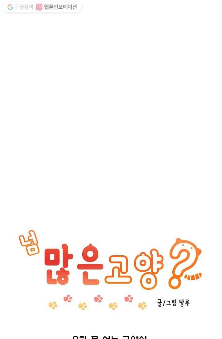 넘 많은 고양! 009화 1
