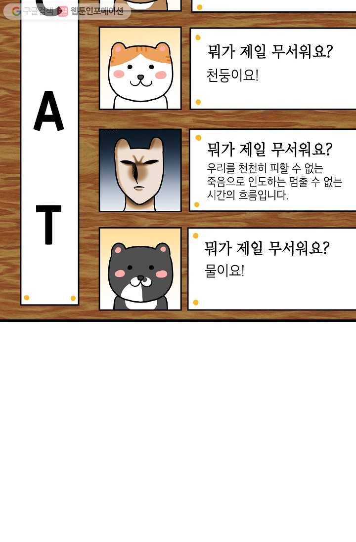 넘 많은 고양! 009화 3