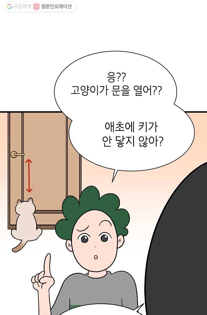넘 많은 고양! 009화 6