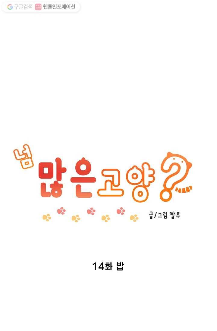 넘 많은 고양! 015화 1