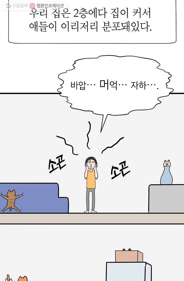 넘 많은 고양! 015화 5