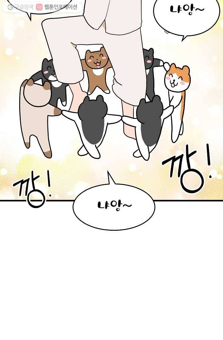 넘 많은 고양! 015화 13