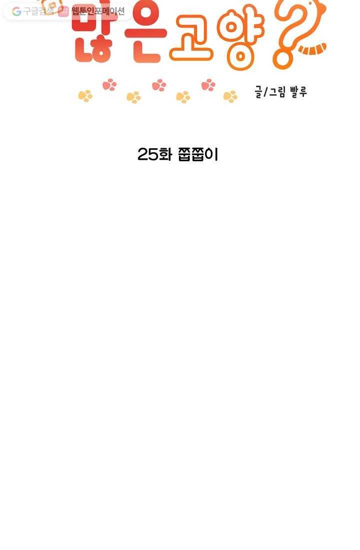 넘 많은 고양! 026화 2