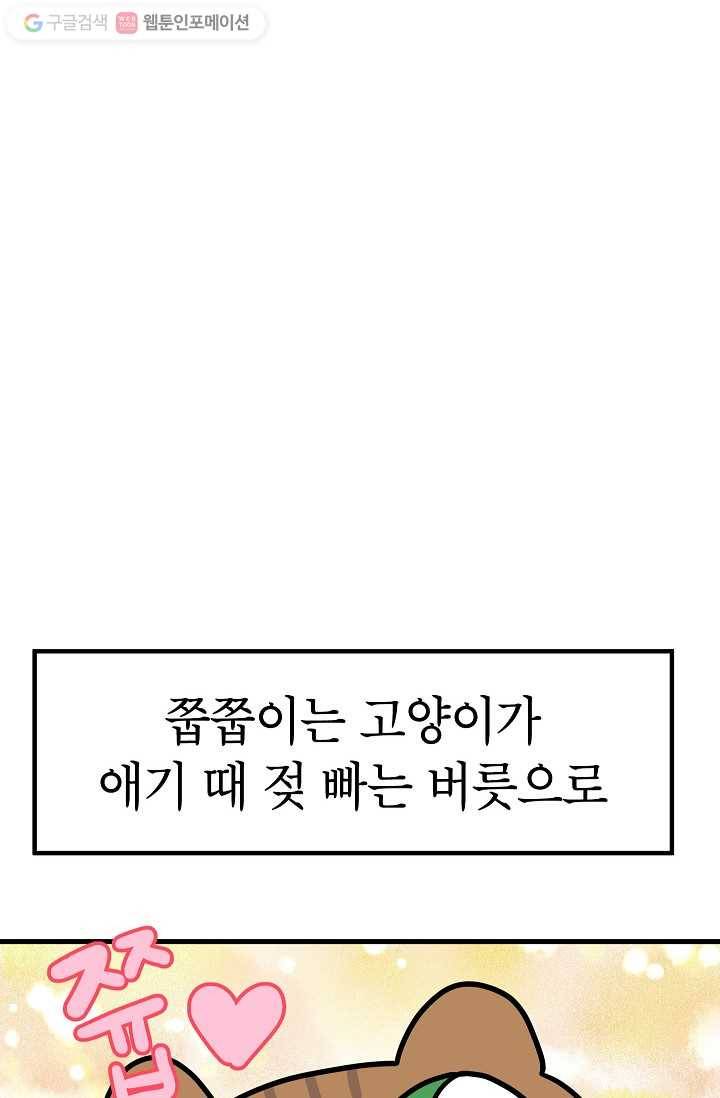 넘 많은 고양! 026화 4