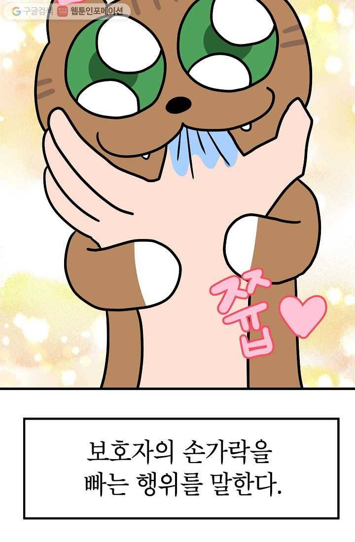 넘 많은 고양! 026화 5