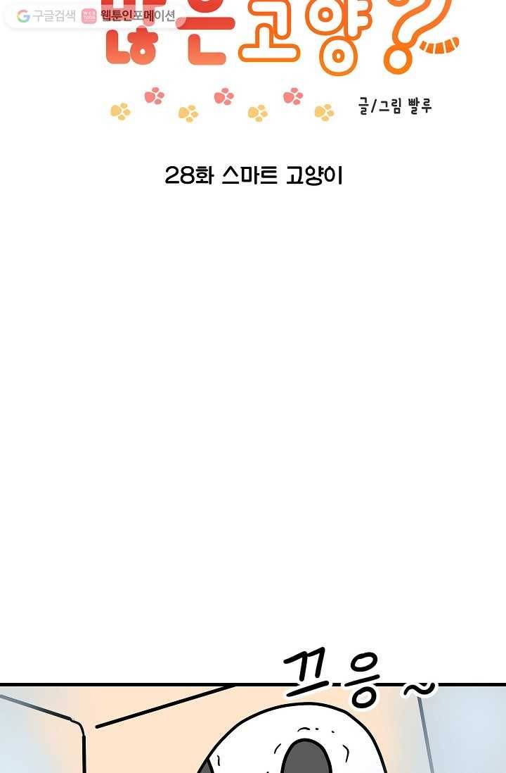 넘 많은 고양! 029화 2
