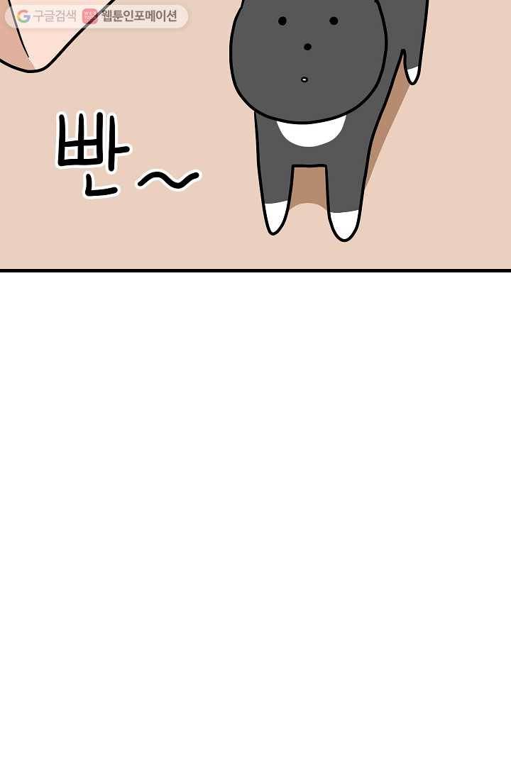 넘 많은 고양! 029화 8