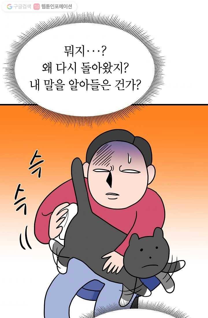 넘 많은 고양! 029화 9