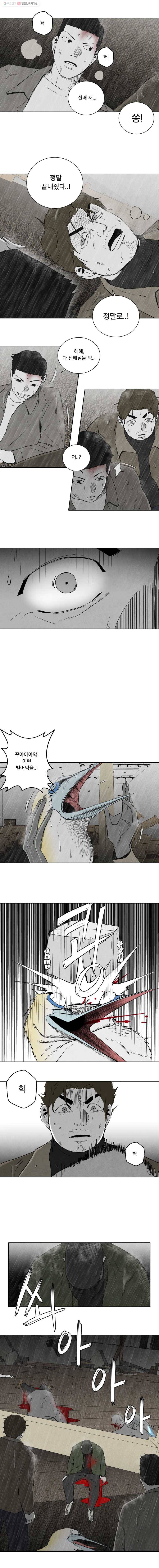 조류공포증 77화 8