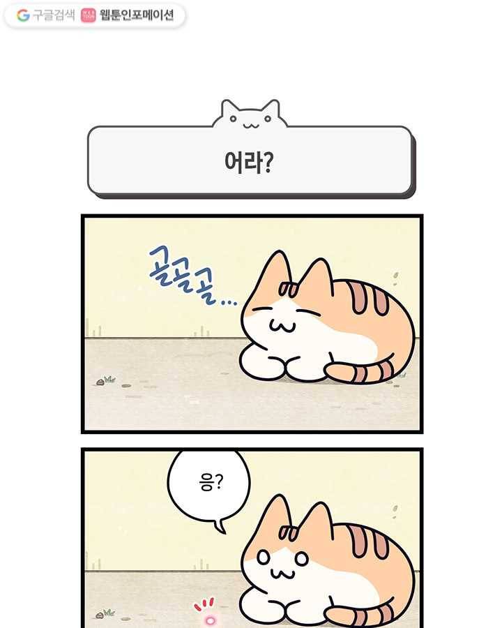 지구의 주인은 고양이다 42화 1