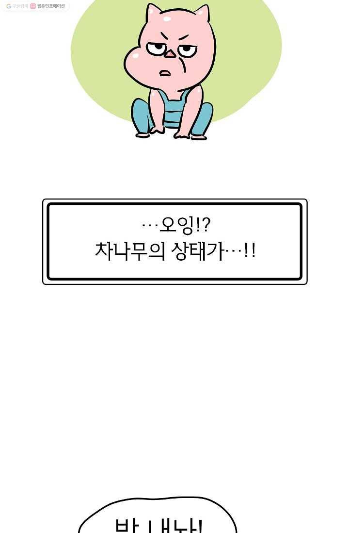 핫차!핫차! 차나무生 15화 13