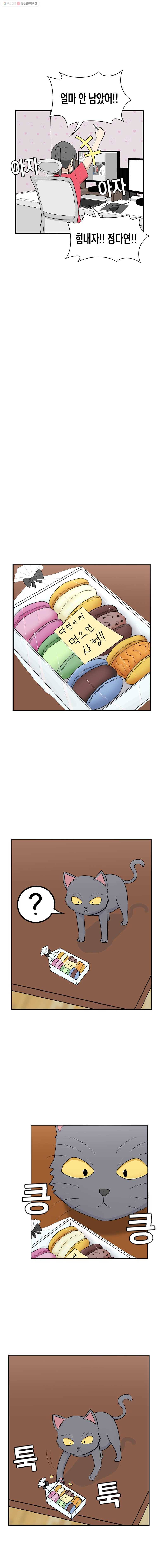 냥냐라냥냥 30.마카롱 3
