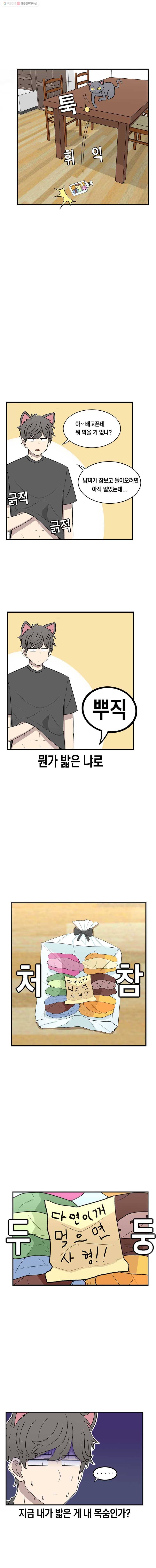 냥냐라냥냥 30.마카롱 4