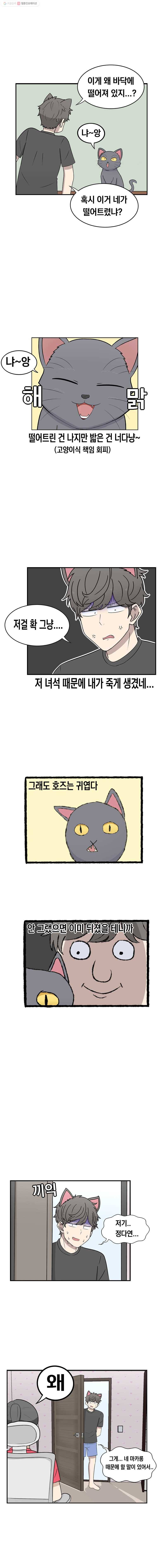 냥냐라냥냥 30.마카롱 5