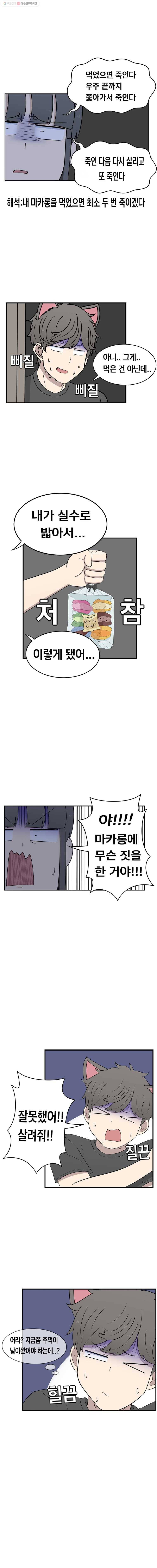 냥냐라냥냥 30.마카롱 6