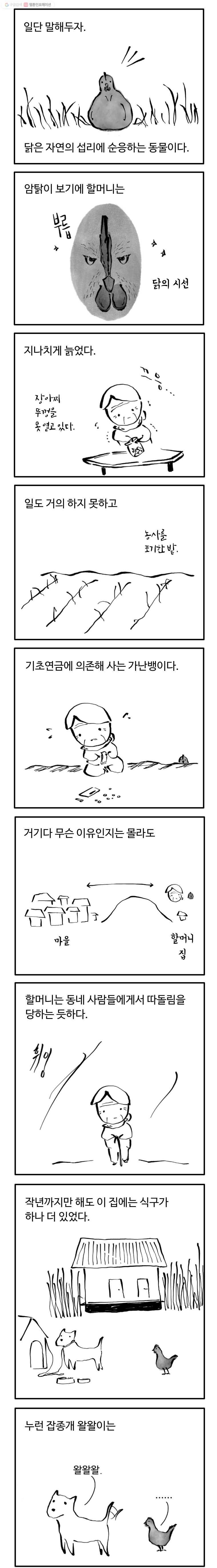 닭은 의외로 위대하다 1화 1.마당을 나온 암탉 1 2