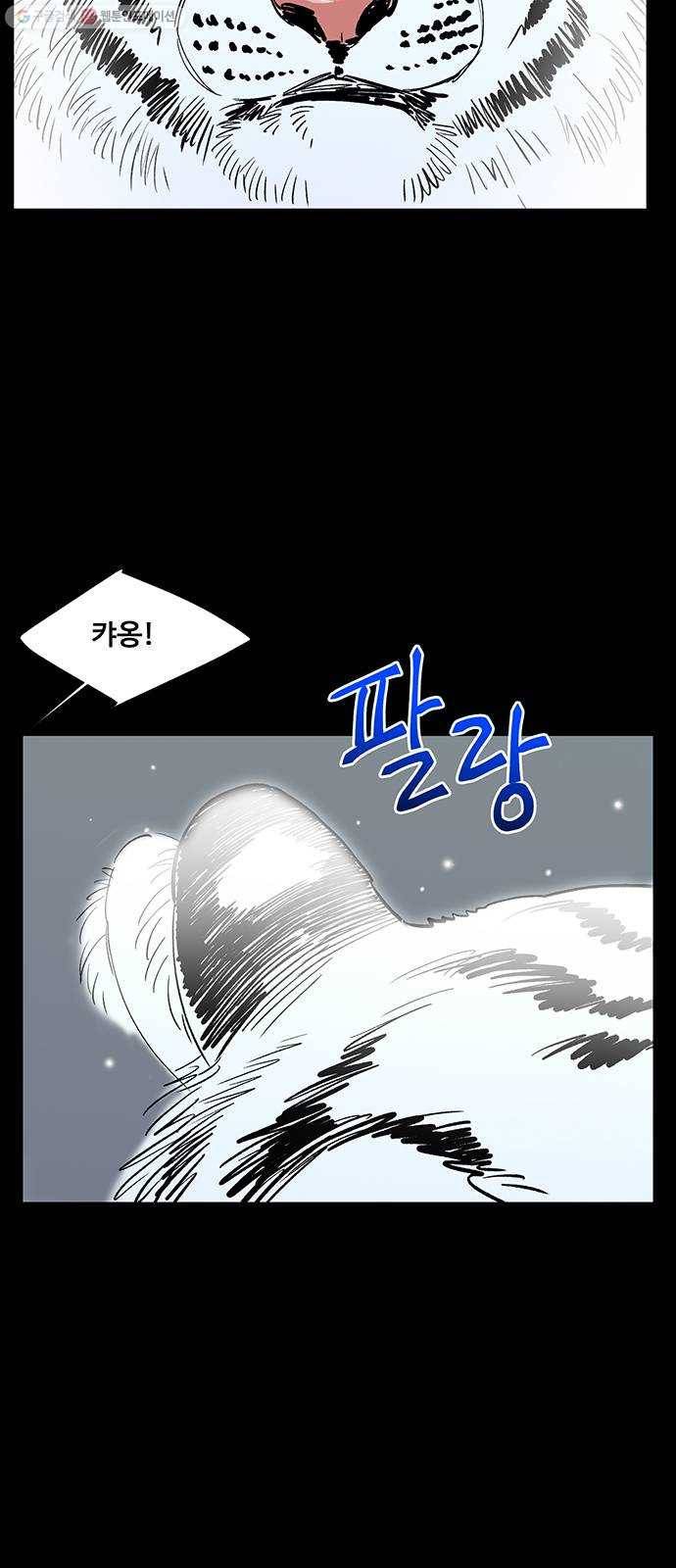백호랑 45 백호랑의 탄생 2 5