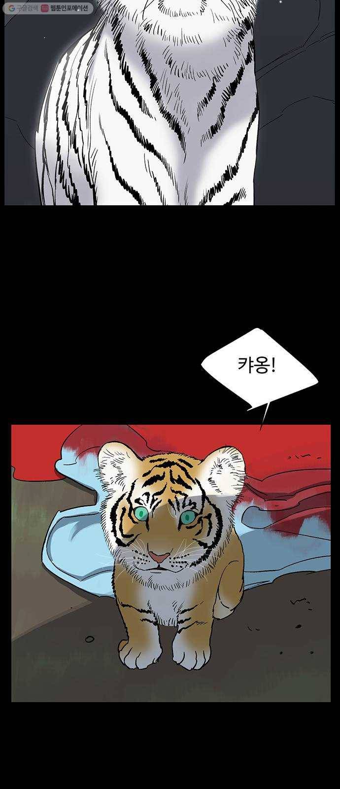 백호랑 45 백호랑의 탄생 2 9