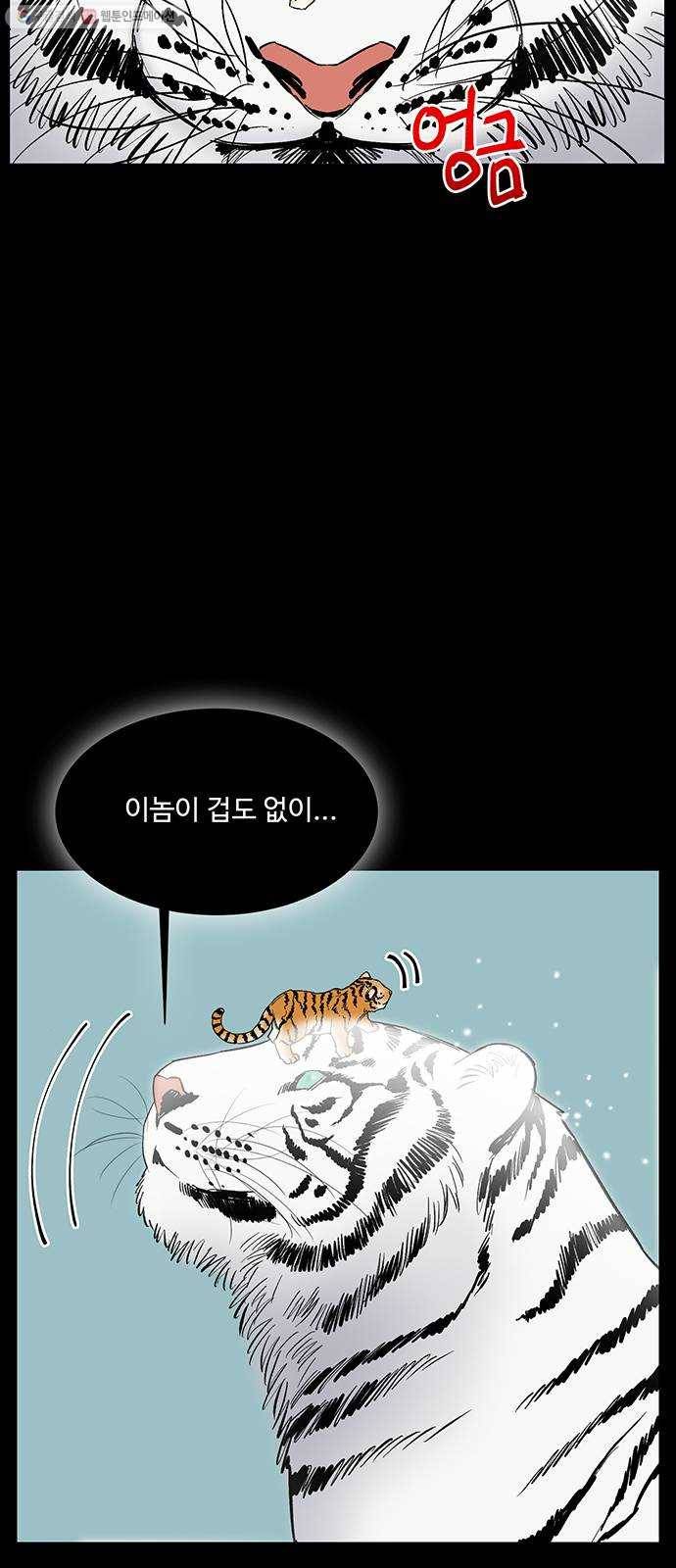 백호랑 45 백호랑의 탄생 2 13